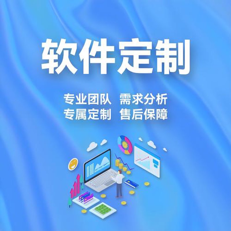 软件定制开发在信息技术行业的兴起与发展